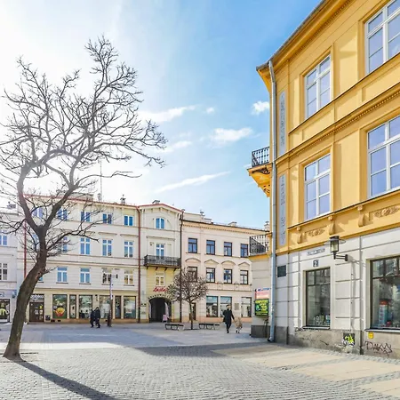 Amazing - Krakowskie Przedmiescie 36 * 卢布林