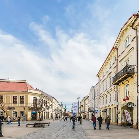 Amazing - Krakowskie Przedmiescie 36 Апартаменты Люблин