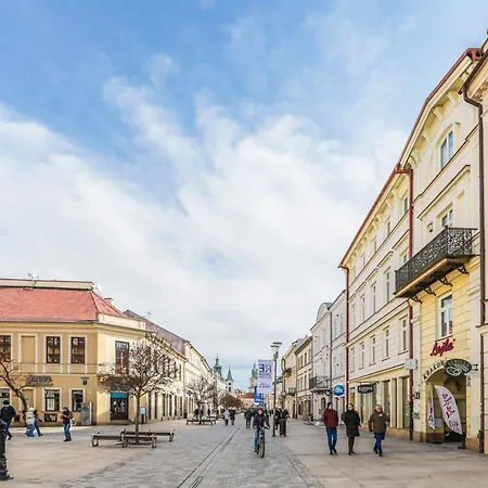 Amazing - Krakowskie Przedmiescie 36 Apartament Lublin